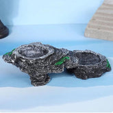 Resin Double Feeding Basin Convenient Turtle Terrace Indoor